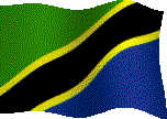 animated-flag